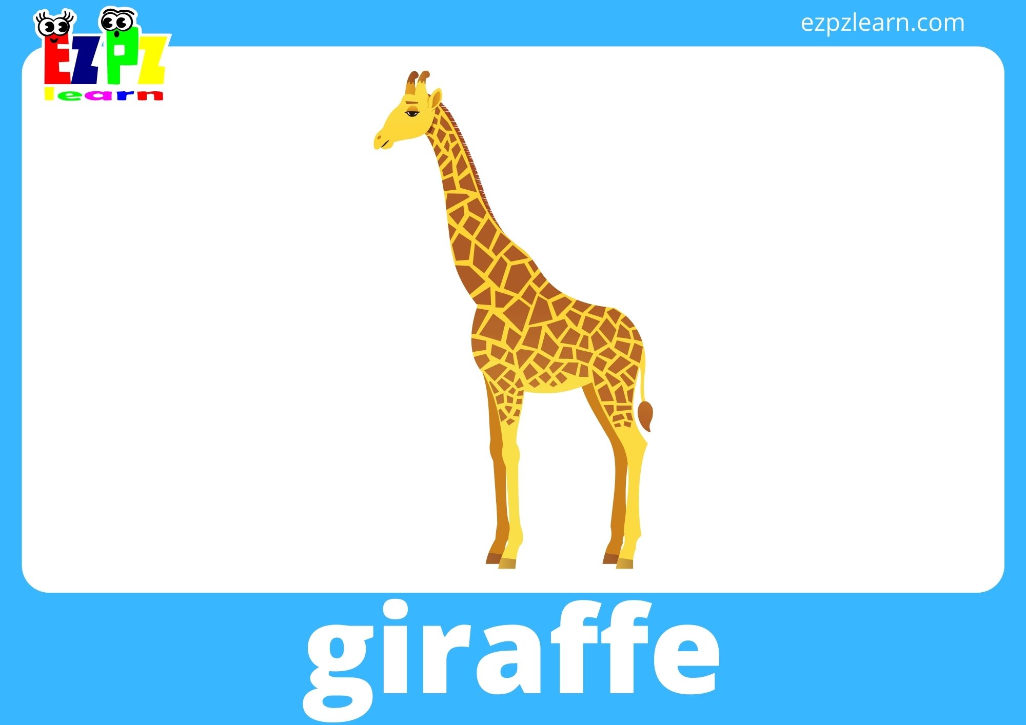 giraffe
